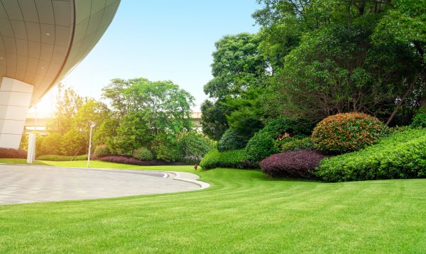 Commercial Shrub Trimming in Pleasanton