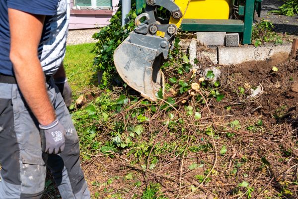 Hedge Removal Service in Pleasanton
