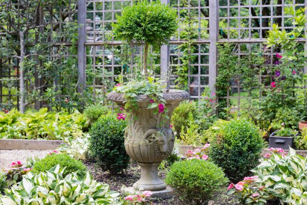 Topiary Pruning in Pleasanton