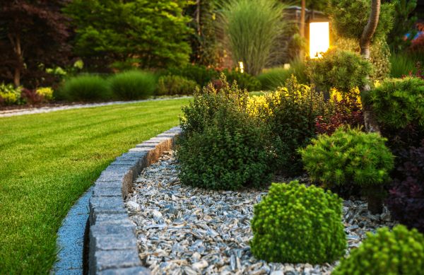 Cost of Bush Relocation in Pleasanton