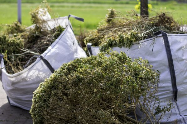 Shrubs Removal in Pleasanton