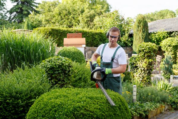 Shrubs Trimming in Pleasanton