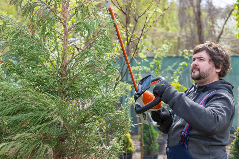 Juniper Trimming