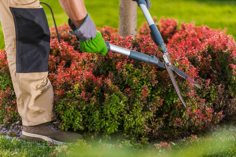 Close-up of Shrub Trimming Tools
